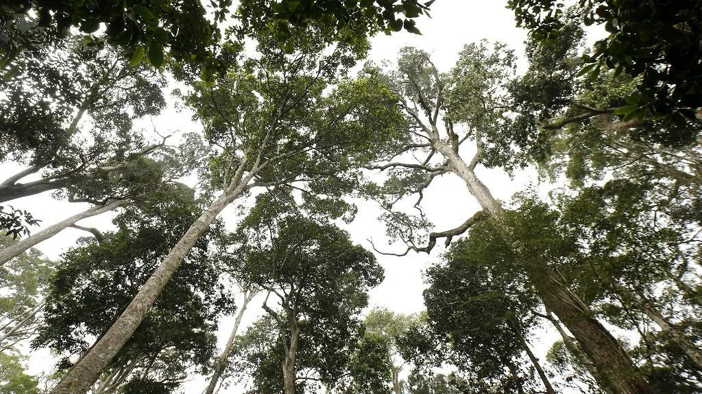 Ecotones Munnar By Eden Environs Hotel Resort